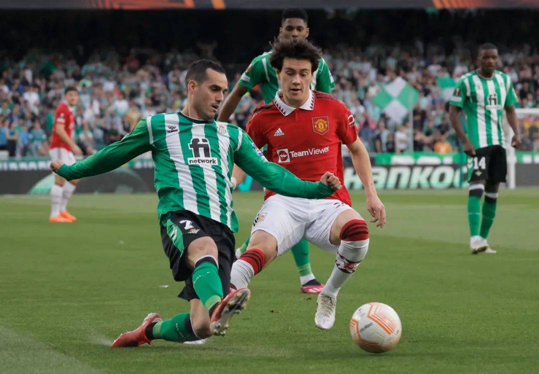 包含NBA总决赛赛前再迎强敌，夏洛特黄蜂伤情更新，主帅态度——话题不断，医务组通报恢复的词条